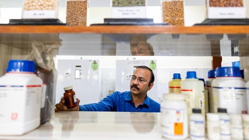 Dr. Chellapilla Bharadwaj, Principal Chickpea Breeder at the Indian Agricultural Research Institute (IARI), poses for a photograph inside a chickpea testing laboratory at the IARI in New Delhi, India, on April 7, 2025.