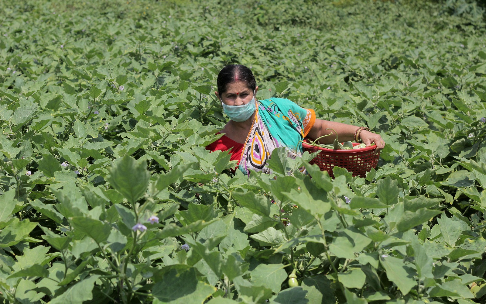 Comment: How we are working to empower women in cotton production