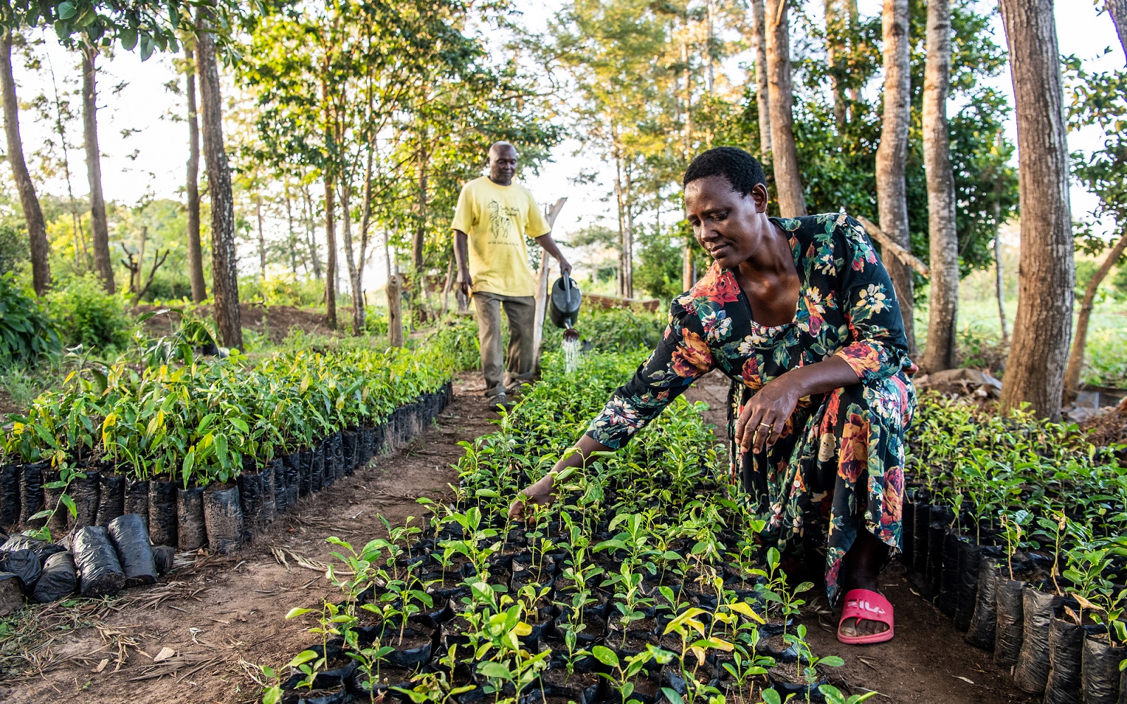 Gates Foundation Announces Aim to Increase Annual Payout by 50% | Bill ...