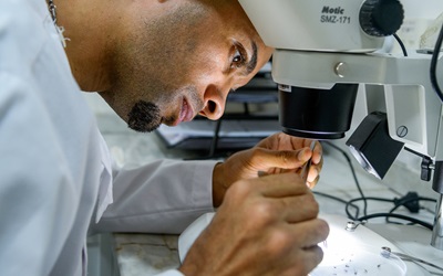 Adéritow Gonçalves, medical entomologist with the National Institute of Public Health, analyzes mosquito samples to help assess the risk of malaria reintroduction in the Republic of Cabo Verde. 
