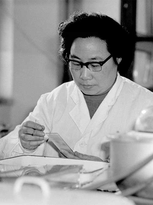 2015 Nobel prizewinner Tu Youyou, a pharmacologist with the China Academy of Chinese Medical Sciences, makes artemisinin, a drug therapy for malaria, in 1980s Beijing.